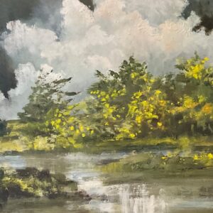 Afternoon Reflections