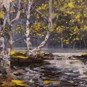 Vermont Stream