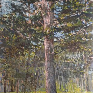 White Pine