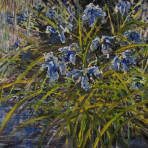 Wild Irises