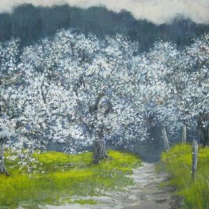 Spring Orchard