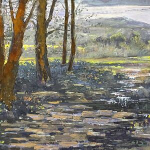 Edge of the Meadow
