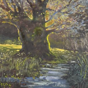 Sunlit Meadow
