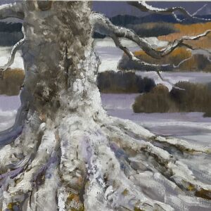 Winter Beech