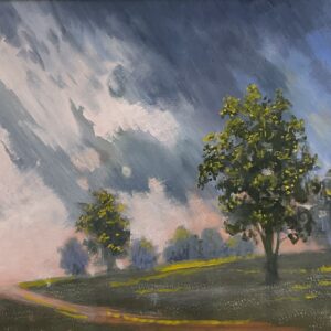 Storm Watch
