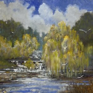 Willow Falls