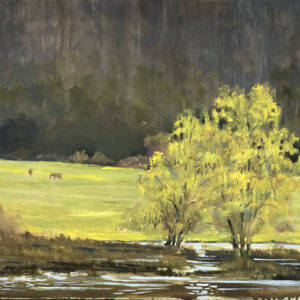 Yearlings